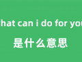 是什么意思，是什么意思？克隆美人鱼